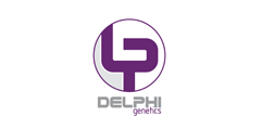 delphi-24